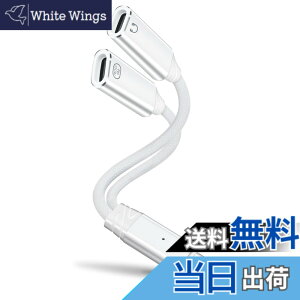 �y���������zleizhan 2-in-1 USB-C �w�b�h�z��/�[�d�A�_�v�^�[�AType-C 1����2�o�� �}���[�d + �I�[�f�B�I �f�[�^�]�� �F�F�z���C�g�A�T�C�Y�F100W 2USB-C