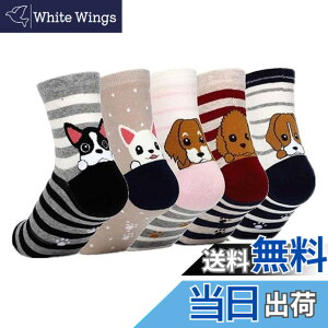 �y���������z[FASELE] �C�� ���f�B�[�X ������� �\�b�N�X ���q�p �w�l�p�\�b�N�X �N���[�\�b�N�X ���� �L ���� �ԕ� �R�b�g�� �� �ʋC�� �_�炩�� �t�� �H�~ �I�[���V�[�Y�� �~�b�h�`���[�u