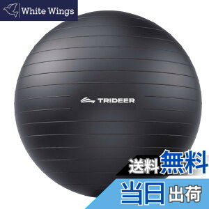 �y���������zTrideer �{�[���`�F�A ���K�{�[���`�F�A �G�N�T�T�C�Y�{�[���`�F�A �x�[�X�t�� �z�[���I�t�B�X�f�X�N�p ����{�[��&�o�����X�{�[���V�[�g ���Ɋɘa �z�[���W�� ���[�N�A�E�g�{