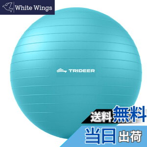 �y���������zTrideer �{�[���`�F�A ���K�{�[���`�F�A �G�N�T�T�C�Y�{�[���`�F�A �x�[�X�t�� �z�[���I�t�B�X�f�X�N�p ����{�[��&�o�����X�{�[���V�[�g ���Ɋɘa �z�[���W�� ���[�N�A�E�g�{