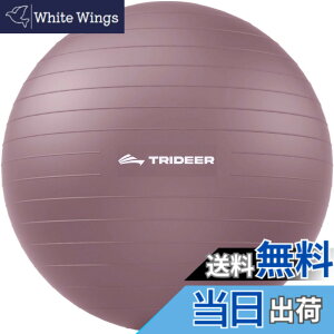 �y���������zTrideer �{�[���`�F�A ���K�{�[���`�F�A �G�N�T�T�C�Y�{�[���`�F�A �x�[�X�t�� �z�[���I�t�B�X�f�X�N�p ����{�[��&�o�����X�{�[���V�[�g ���Ɋɘa �z�[���W�� ���[�N�A�E�g�{