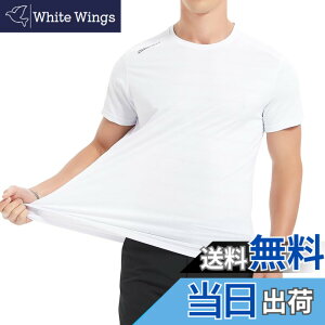 �y���������z[THREEGUN] �����Y ���b�V���K�[�h �⊴ ���� �傫���T�C�Y t�V���c �X�|�[�c�V���c ���� �X�C�� �z������ UV�J�b�g �F�F�z���C�g�A�T�C�Y�F4XL