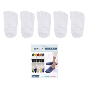 �y���������z[bh life] �y5���Z�b�g�z5�{�w�\�b�N�X �����Y ���f�B�[�X �ܖ{�w�\�b�N�X ����~�� ����Ԃ� �V���[�g ���킢�� �� ���� �� �ܖ{�w�C�� �C�� �\�b�N�X �F�F�z���C�g�A�T�C�Y�FL Reg