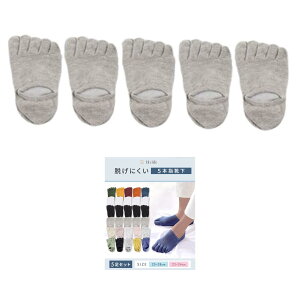 �y���������z[bh life] �y5���Z�b�g�z5�{�w�\�b�N�X �����Y ���f�B�[�X �ܖ{�w�\�b�N�X ����~�� ����Ԃ� �V���[�g ���킢�� �� ���� �� �ܖ{�w�C�� �C�� �\�b�N�X �F�F�O���[�A�T�C�Y�FL Regula