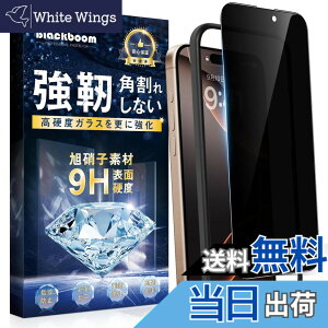 �y���������z�g�ѓd�b�ی�t�B����260723-6 �F�F�`�����h�~�A�T�C�Y�FiPhone 16 Pro