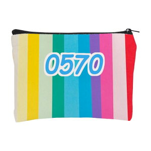 �y���������z���C���{�[�X�g���C�v�f�W�^���X�g���[�W�n���h�o�b�O �T�C�Y�F#X-570