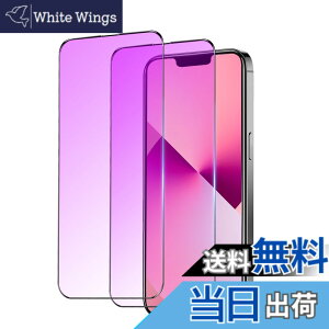 �y���������ziPhone 13 Pro �K���X�t�B���� �`�����h�~ ���炳�� �F�F�u���[���C�g�i�S�ʕی�j�A�T�C�Y�FiPhone 13mini