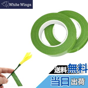 �y���������zDEVENTORZ ���ԃZ�b�g �t�����[���C���[ �� ���� ���p�e�[�v �ԉ� �ԑ� �s�����p DIY ��|�ޗ� �A�N�Z�T���[ �F�F�O���[��