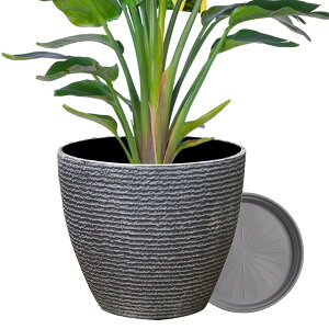 �y���������zDADAGUAI�i�_�_�O�A�C�j �v�����^�[ �ϗt�A�� �󂯎M�t�� ���^ �������� �A�ؔ��X�^���h �� ������� �r�����t�� �A�ؔ� �󂯎M �y�� ���� ���O�p �ی^ �v���X�`�b�N �F�F�O���[�A