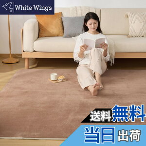 �y���������zSun Deco ���O �J�[�y�b�g �ᔽ�� ���O�}�b�g I030 �F�F���J�A�T�C�Y�F200x250cmx1.5cm