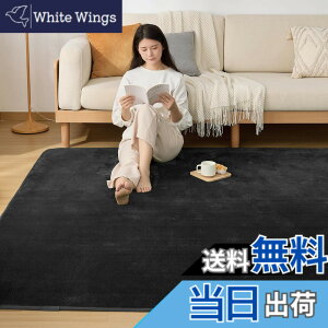 �y���������zSun Deco ���O �J�[�y�b�g �ᔽ�� ���O�}�b�g I030 �F�F�u���b�N�A�T�C�Y�F200x300cmx1.5cm