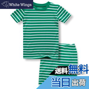 �y���������z[Vaenait Baby] 6����-12�� �x�r�[ �L�b�Y �q�� ���̎q �j�̎q ���� �p�W���} �{�[�_�[ �X�g���C�v �r�X�R�[�X �ăV���b�g���[���E�F�A �㉺�Z�b�g �F�FA01-Line Greenwhite�A�T�C�Y�F80