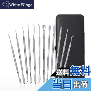 �y���������zaurochs �X�p�`���� �F�F�V���o�[