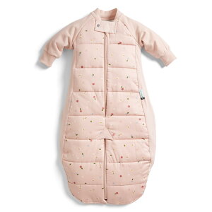 �y���������z[ergoPouch] �G���S�|�[�` �X���[�v�X�[�c�o�b�O Sleep Suit Bag �y���K�i�z �X���[�p�[ �F�F�f�C�W�[�A�T�C�Y�F8-24M