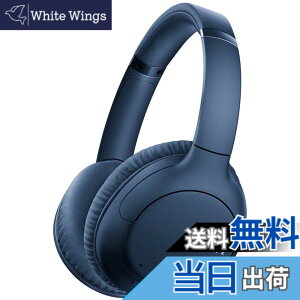 �y���������z���C�����X�m�C�Y�L�����Z�����O�w�b�h�z�� WH-CH710N �F�F�u���[�A�T�C�Y�F��