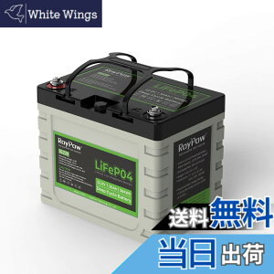 �y���������zRoyPow 12V LiFePO4 �����_�S���`�E���C�I���o�b�e���[