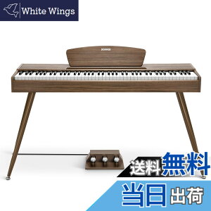 �y���������zDonner �d�q�s�A�m 88���� DDP-80 �F�F�E�H�[���i�b�g�A�T�C�Y�FDDP-80