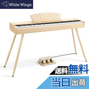 �y���������zDonner �d�q�s�A�m 88���� DDP-80 �F�F�I�[�N�x�[�W���A�T�C�Y�FDDP-80