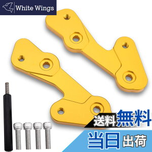 �y���������zLEDISHUN �o�b�N�X�e�b�v �A�W���X�^�[ 30mm �A�b�v 25mm �o�b�N �J���T�L ZX-25R(2020-2023) ZX-4R ZX-4RR (2023+)�ɓK�p �F�F�S�[���h