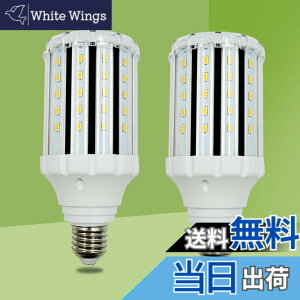 �y���������zlow watt led light bulbs �F�F25W WW DOUBLE