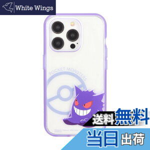 �y���������z�O���}���f�B�[�Y �|�P�b�g�����X�^�[ IIIIfit(�C�[�t�B�b�g) iPhone15 Pro �Ή� �P�[�X �F�F�Q���K�[
