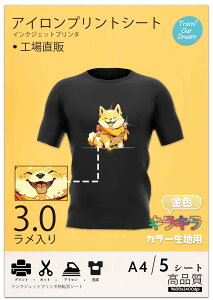 �y���������zTransOurDream �^���̓]�ʃV�[�g �A�C�����v�����g�V�[�g ���E�Z�F���n�p �F�F���Z�F���n�p�A�T�C�Y�FA4-5��-��������