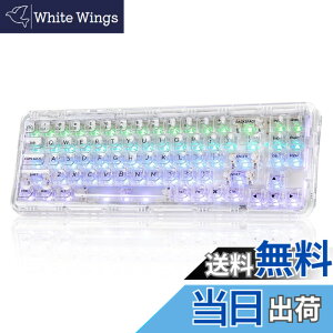 �y���������zYUNZII X71 ���J�j�J���Q�[�~���O�L�[�{�[�h �����L�[�L���b�v 71�L�[ 68%�z�� ���C�����X �z�b�g�X���b�v�Ή� BT5.0/2.4G/USB-C �K�X�P�b�g���� RGB ���� Windows/Mac�p �Z�K�F�؎擾 �F�F�z