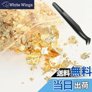 �y���������zBEIHOO ���� �w�A�p �����V�[�g �t���[�N 5g/10g/100�� �͑����� ������ ���l�� ������ ���Ǝ� �W�F���l�C�� �Z���t�l�C�� DIY�W���G���[ �H�|�i ���W�� ���p �G�� �����p �F�F����5g+