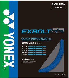 �y���������z���l�b�N�X(YONEX) �o�h�~���g�� �K�b�g �G�N�X�{���g65 BGXB65 �F�F�u���[�A�T�C�Y�FFF