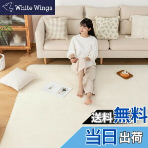 �y���������zSun Deco �J�[�y�b�g �􂦂郉�O�}�b�gSD-I001-FT-B �F�F�A�C�{���[�A�T�C�Y�F185x185cm