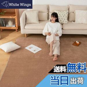 �y���������zSun Deco �J�[�y�b�g �􂦂郉�O�}�b�gSD-I001-FT-B �F�F���J�A�T�C�Y�F185x185cm