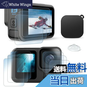 �y���������zFitStill �����K���X�t�B�����Z�b�g �ɓK�pGo Pro �A���`�X�N���b�` | ���C����ʗp + �T�u��ʗp+LED�ی�t�B����