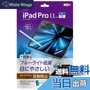 �y���������z�i�J�o���V iPad mini 2019 / iPad mini 4 �p �t���ی�t�B���� �u���[���C�g�J�b�g ���˖h�~ �R�� �C�A���X���H �N���A�z���C�g�F �F�F�N���A�A�T�C�Y�FiPad Pro 11�C���` (M4) 2024