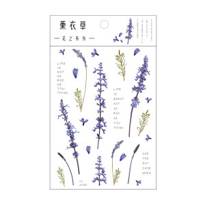 �y���������zEZ PEACH �R���[�W���f�� �V�[�� �t���[�N ���� �ԁX ���� �h�� ���g�� �V�[�� PET �R���[�W��DIY ���� �f�ގ� ������ �p�b�N �V�[���V�[�g �蒠�f�R �t� ���� ���킢�� ������� 