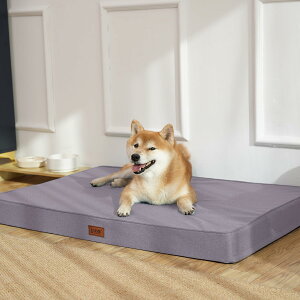 �y���������zEMME �ґ�Ȍ� �x�b�h �h���S�T�E���^���y�b�g�N�b�V�����|�����₷�� �y�b�g�\�t�@�[ �y�b�g�x�b�h �􂦂� ���Ȗ��� ������ ��� �q�� �L �������� ���O����J�o�[ ����~