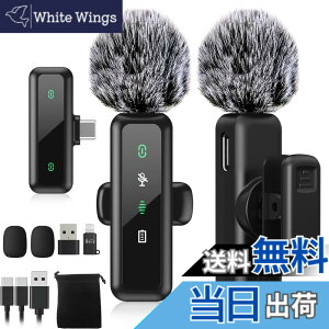 �y���������z�yBILIWAL 2024�V�o��z �s���}�C�N ���C�����X iPhone/iPad/PC�Ή� �T�C�Y�FType-C ��M�@ + ���M�@ x 2