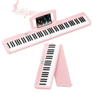 �y���������zTERENCE �d�q�s�A�m 88���� �܂肽���ݎ� �^�b�`���X�|���X���� V30 �F�F�s���N�A�T�C�Y�F88����