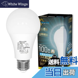 �y���������zORALUCE �l���Z���T�[ LED�d�� 1�� �F�F�����F�A�T�C�Y�F12W
