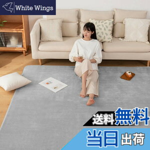 �y���������zSun Deco �J�[�y�b�g �􂦂郉�O�}�b�gSD-I001-FT-B �F�F�O���[�A�T�C�Y�F200x250cm