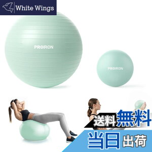 �y���������zPROIRON �o�����X�{�[�� �΂�񂷂ځ[�� 55cm 65cm 75cm (6�F) ���� �W���{�[�� �t�B�b�g�l�X�{�[�� �A���`�o�[�X�g �ω׏d300kg �n���h�|���v�t �F�F���C�g�O���[�� 2�_�Z�b�g�A�T�C�Y