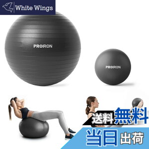 �y���������zPROIRON �o�����X�{�[�� �΂�񂷂ځ[�� 55cm 65cm 75cm (6�F) ���� �W���{�[�� �t�B�b�g�l�X�{�[�� �A���`�o�[�X�g �ω׏d300kg �n���h�|���v�t �F�F�u���b�N2�_�Z�b�g�A�T�C�Y�F58-65cm/