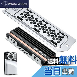 �y���������zGRAUGEAR PS5��p��M.2 2280 NVMe SSD�q�[�g�V���N�APlayStation 5�Ή��̊g���X���b�g�J�o�[�ƌ�������^�C�v�̃q�[�g�V���N�ɂ��ẮA�_�C���N�g�^�b�`�q�[�g�����q�[�g�p�C�v �A���~