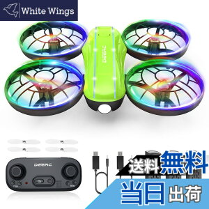 �y���������z�h���[�� 100g���� Holyton �q������ D33 �F�F�΁i�J�����Ȃ��j