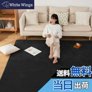 �y���������zSun Deco �J�[�y�b�g �􂦂郉�O�}�b�gSD-I001-FT-B �F�F�_�[�N�u���b�N�A�T�C�Y�F200x250cm