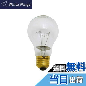 �y���������z���V(Takagi) EARTH MAN �ϐk�� �N���b�v���C�g �F�F�N���A�A�T�C�Y�F100W (�ϐk��) �N���A