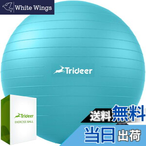 �y���������zTrideer �{�[���`�F�A ���K�{�[���`�F�A �G�N�T�T�C�Y�{�[���`�F�A �x�[�X�t�� �z�[���I�t�B�X�f�X�N�p ����{�[��&�o�����X�{�[���V�[�g ���Ɋɘa �z�[���W�� ���[�N�A�E�g�{