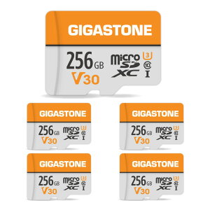 �y���������zGIGASTONE �}�C�N��sd�J�[�h 512-1-2 Core Group �F�F256GB Full HD 5���Z�b�g�A�T�C�Y�FFULL HD Series