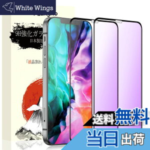 �y���������z�K���X�t�B���� �����K���X �ی�t�B���� pixel xperia iphone �p �F�F�u���[���C�g�J�b�g�A�T�C�Y�FiPhone12 Pro Max