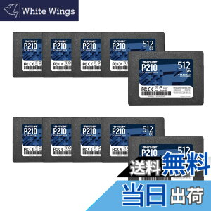 �y���������zPatriot P210 Parent Solid State Drive SSD �F�F�u���b�N�A�T�C�Y�F512GB 10 Pack