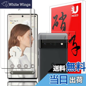 �y���������z2+2�ی�t�B���� �T�C�Y�FPixel6 Pro �p��